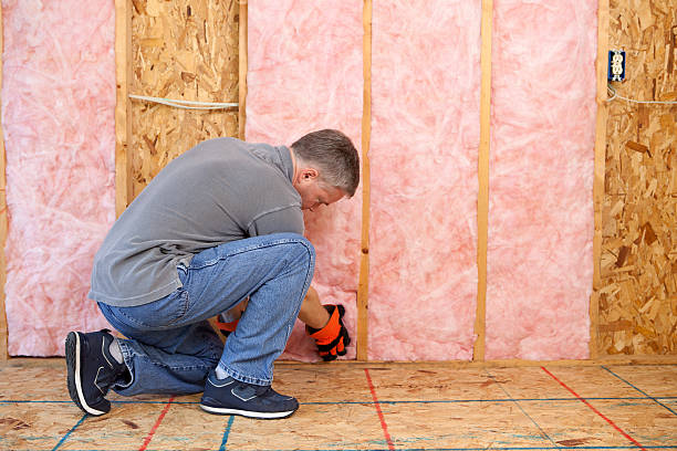 Types of Insulation We Offer in Palmhurst, TX